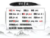 《藤野先生》課件 2024-2025學(xué)年第一學(xué)期人教版初中語(yǔ)文八年級(jí)上冊(cè)