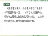 【任務(wù)型教學(xué)】修訂版統(tǒng)編語文八上8《 回憶魯迅先生（節(jié)選）》課件+教案+導(dǎo)學(xué)案（師生版）+同步測(cè)試（含答案）