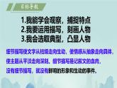 第三單元寫作 抓住細(xì)節(jié) 課件統(tǒng)編版七年級語文下冊