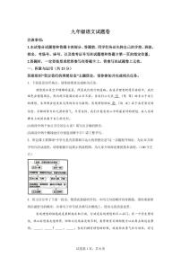 2024~2025学年河南省三门峡市九年级上学期期末语文试卷