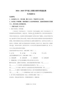 2024~2025学年河南省信阳市新县九年级上学期期末语文试卷