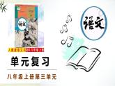 八上第3單元復(fù)習(xí)講義+課件