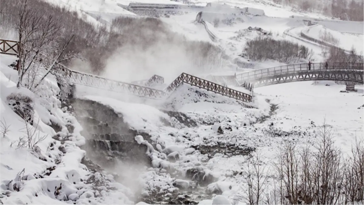 统编版九年级语文上册《1 沁园春 雪》课件第2页