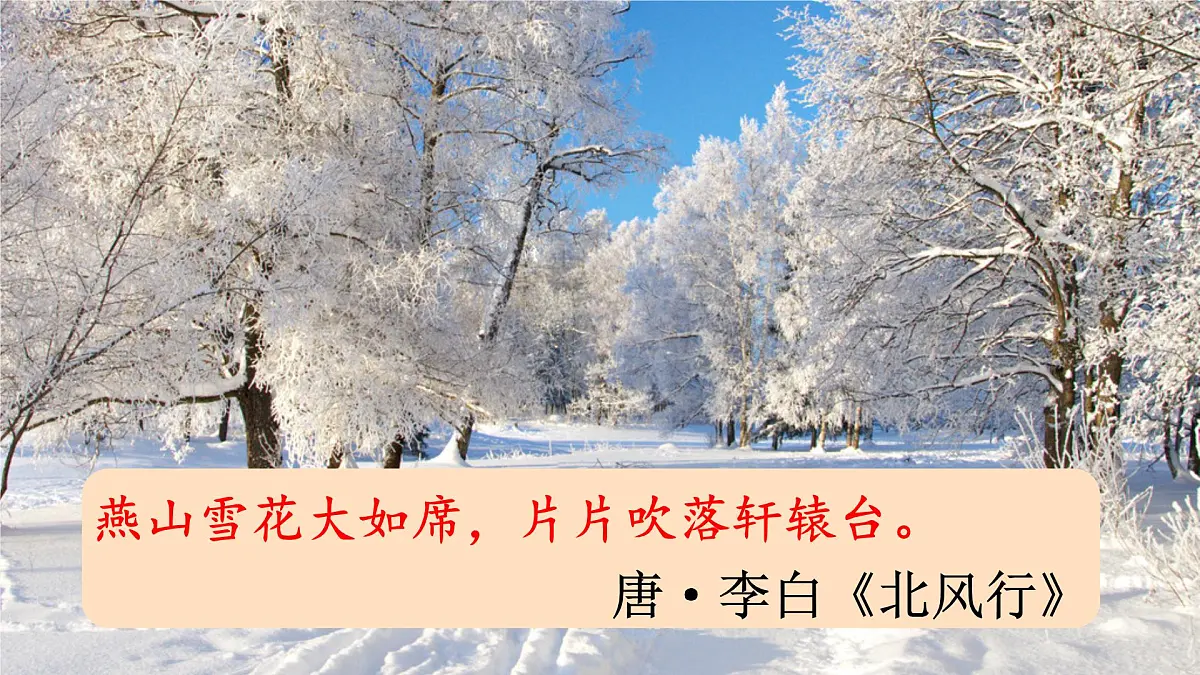 统编版九年级语文上册《1 沁园春 雪》课件第3页