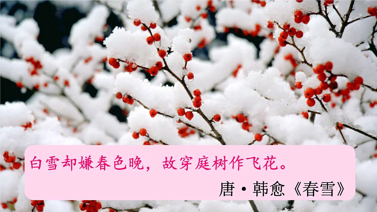 统编版九年级语文上册《1 沁园春 雪》课件第4页