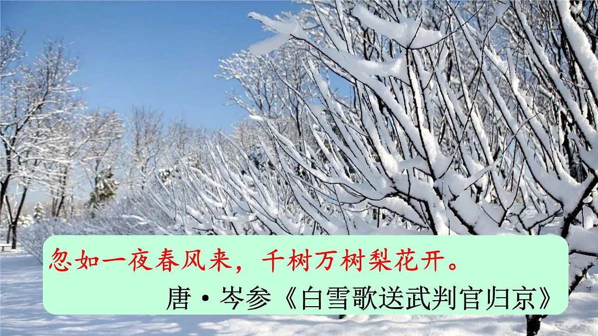 统编版九年级语文上册《1 沁园春 雪》课件第5页
