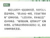 【任務(wù)型教學(xué)】修訂版統(tǒng)編語文八上16《白楊禮贊》 課件+教案+同步測(cè)試（含答案）+導(dǎo)學(xué)案（師生版）