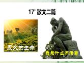 【任務(wù)型教學(xué)】修訂版統(tǒng)編語文八上17《 散文二篇》 課件+教案+導(dǎo)學(xué)案（師生版）+同步測(cè)試（含答案）