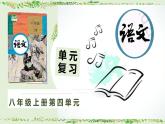 八上第4單元復(fù)習(xí)講義+課件