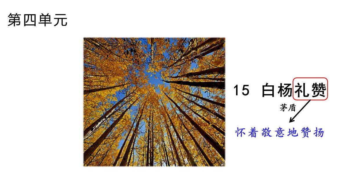 16《白杨礼赞》课件 统编版 语文八年级上册第1页