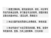 16《白楊禮贊》課件 統(tǒng)編版 語文八年級上冊