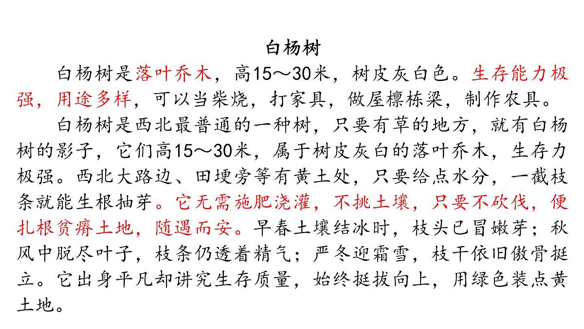 16《白杨礼赞》课件 统编版 语文八年级上册第5页