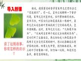 八上第五單元寫作《說明事物要抓住特征》（課件+教案）