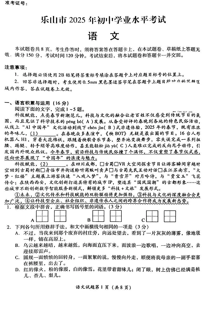 2025年四川省乐山市中考语文真题无标答第1页