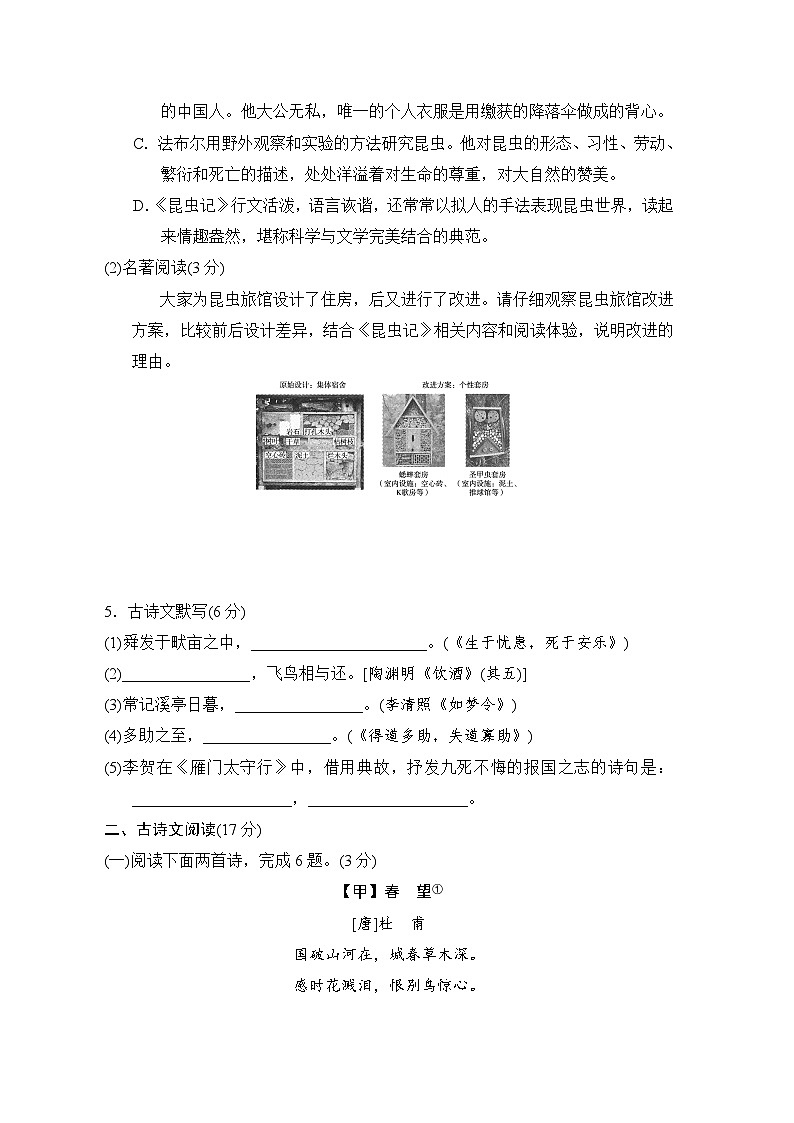 八年级语文上册 第五单元 单元测试卷（人教辽宁版 2024年秋）第2页