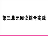 部编版语文七年级上册 第三单元阅读综合实践 习题课件（含答案）