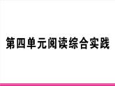 部编版语文七年级上册 第四单元阅读综合实践 习题课件（含答案）