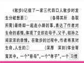 部编版语文七年级上册 6 散步 习题课件（含答案）