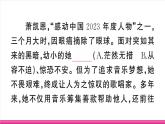 部编版语文七年级上册 11 再塑生命的人 习题课件（含答案）