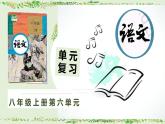 八上第6單元復(fù)習(xí)講義+課件