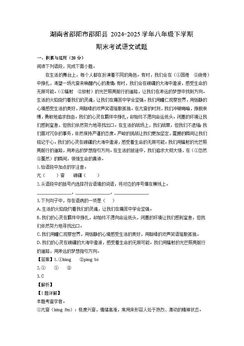【语文】湖南省邵阳市邵阳县2024-2025学年八年级下学期期末考试试题（解析版）第1页