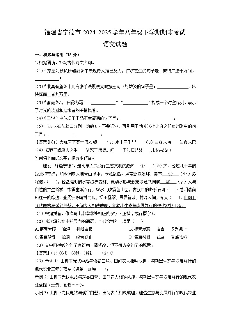 【语文】福建省宁德市2024-2025学年八年级下学期期末考试试题（解析版）第1页