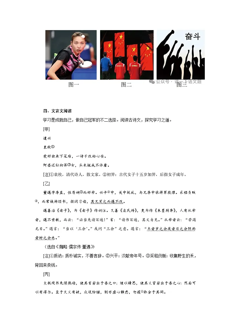 江苏省泰州市海陵区2024-2025学年七年级上学期期中语文试题第3页