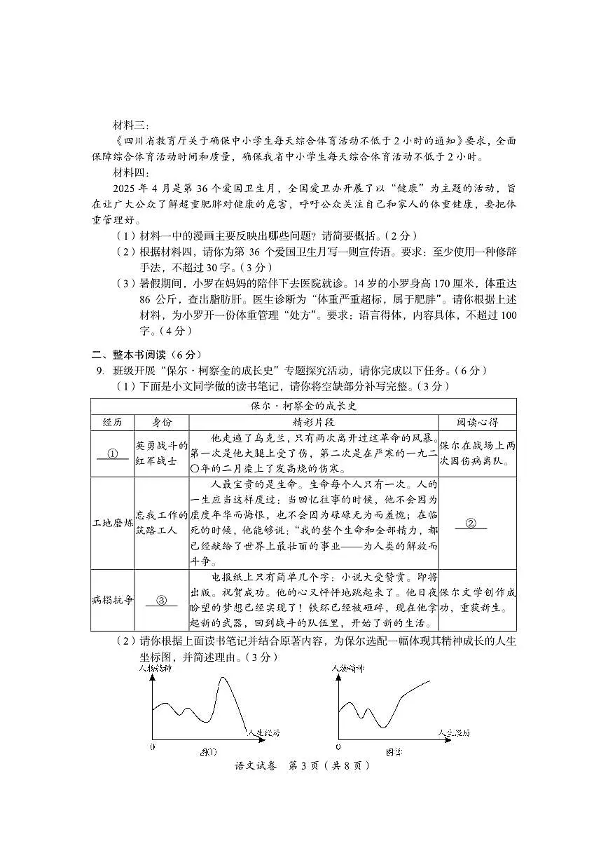 2025年四川省资阳市中考语文真题（无答案）第3页