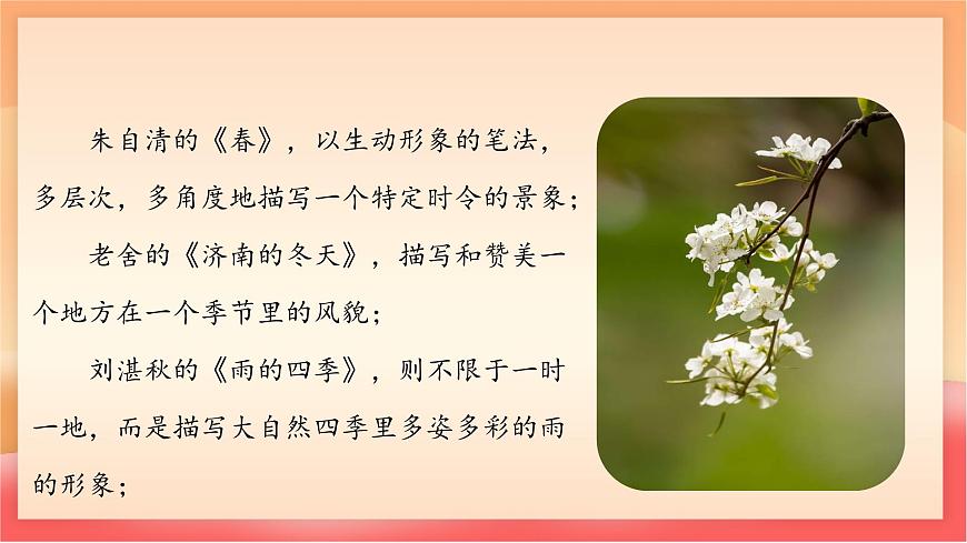 人教部编版（五四制）语文七年级上册（2024）第一单元《阅读综合实践》课件第6页