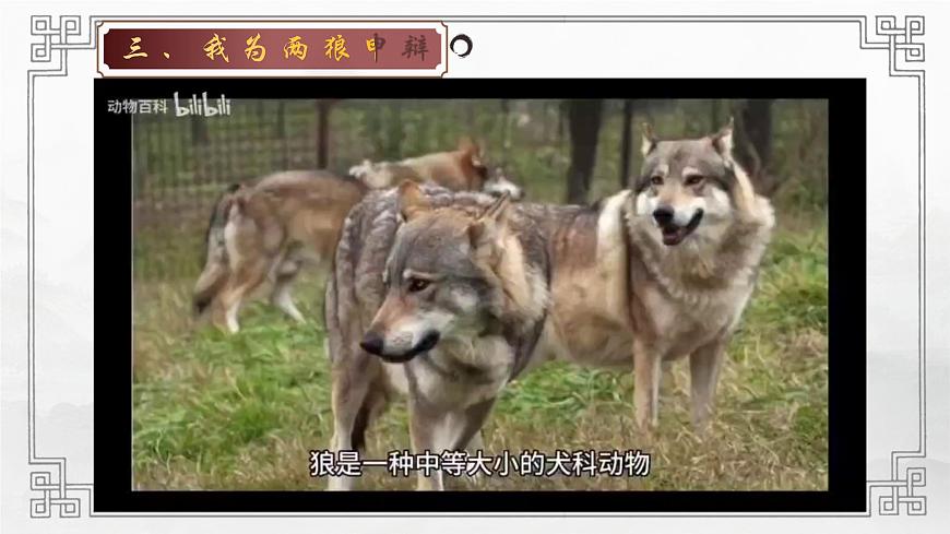 七年级上册语文部编版《狼》课件第6页