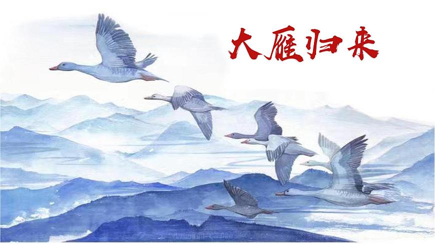 七年级语文上册部编版《大雁归来》课件第1页