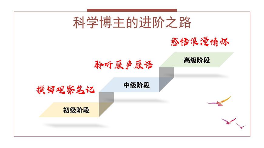 七年级语文上册部编版《大雁归来》课件第3页