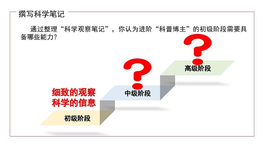 七年级语文上册部编版《大雁归来》课件第7页