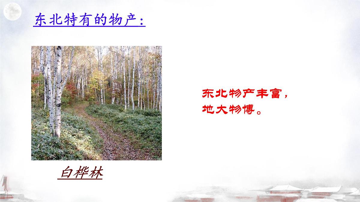 部编版初中语文七年级下册8.土地的誓言 课件第6页
