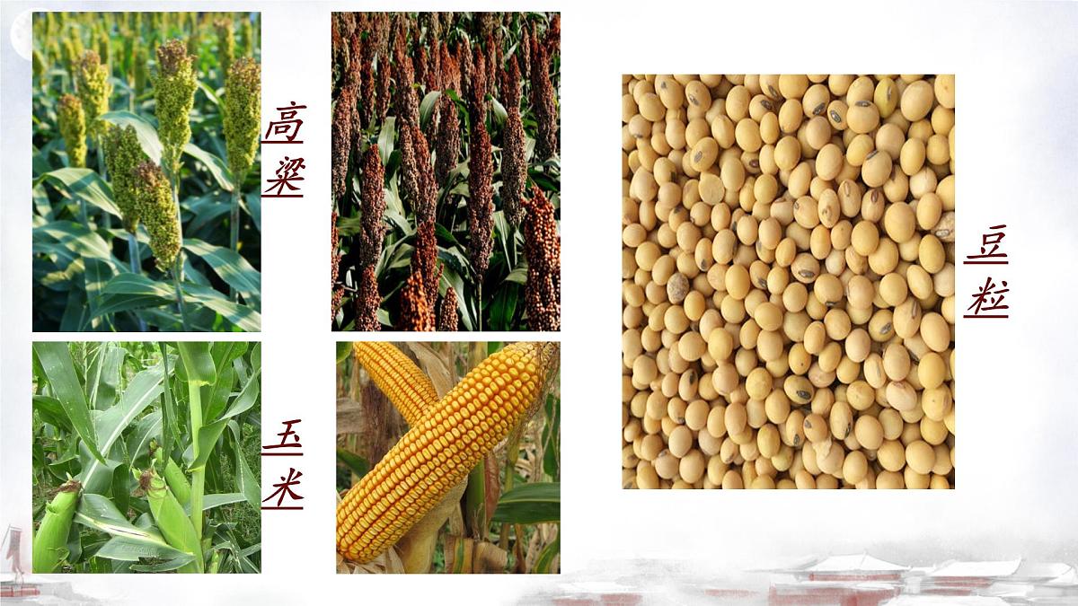 部编版初中语文七年级下册8.土地的誓言 课件第8页