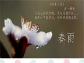 第3课《雨的四季》课件 2025-2026学年统编版语文七年级上册