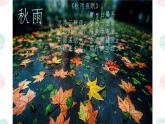 第3课《雨的四季》课件 2025-2026学年统编版语文七年级上册