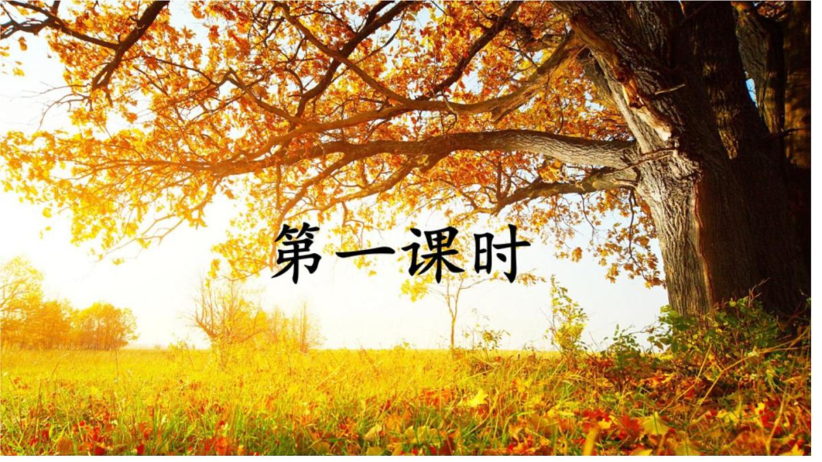 第5课 《秋天的怀念》课件 2025-2026学年统编版语文七年级上册第5页