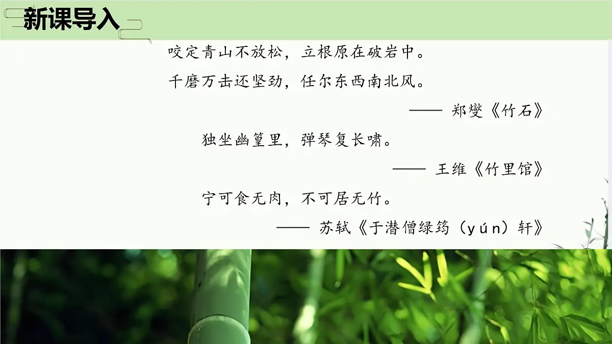 第18课《井冈翠竹》课件 2025-2026学年统编版语文七年级下册第1页