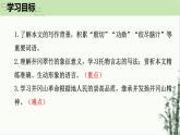 第18課《井岡翠竹》課件 2025-2026學(xué)年統(tǒng)編版語文七年級下冊