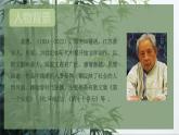 第18課《井岡翠竹》課件-2024-2025學(xué)年統(tǒng)編版語文七年級下冊