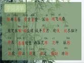 第18課《井岡翠竹》課件-2024-2025學(xué)年統(tǒng)編版語文七年級下冊