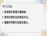 第18課《井岡翠竹》課件-2024-2025學(xué)年統(tǒng)編版語文七年級下冊