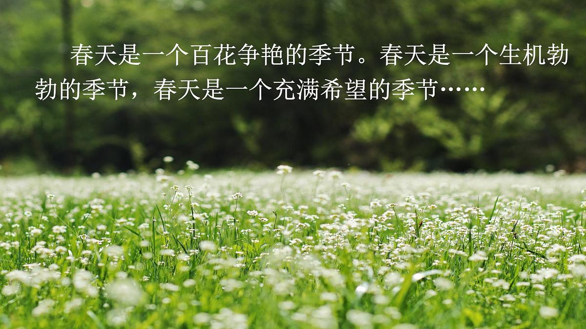 第1课《春》课件 2024-2025学年统编版语文七年级上册第3页