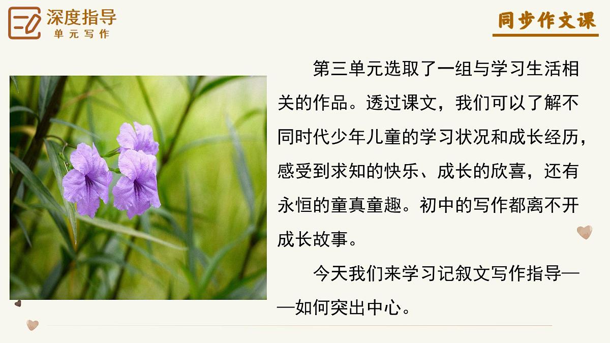 第三单元《如何突出中心》（课件）语文统编版2024七年级上册第4页