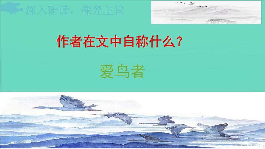 统编版语文七年级上册第19课《大雁归来》课件第3页