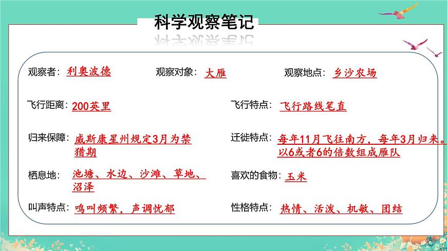 统编版语文七年级上册第19课《大雁归来》课件第8页