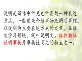 寫作《說明事物要抓住特征》課件-2025-2026學(xué)年統(tǒng)編版語文八年級上冊