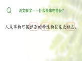 寫作《說明事物要抓住特征》課件-2025-2026學(xué)年統(tǒng)編版語文八年級上冊