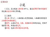 初中  语文  人教部编版（2024）  七年级下册（2024）  第三单元11 山地回忆 课件